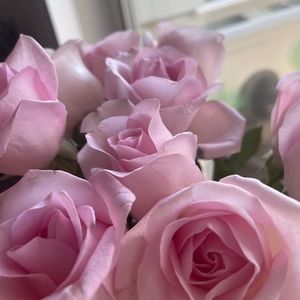 Meet your Posher, Nissa